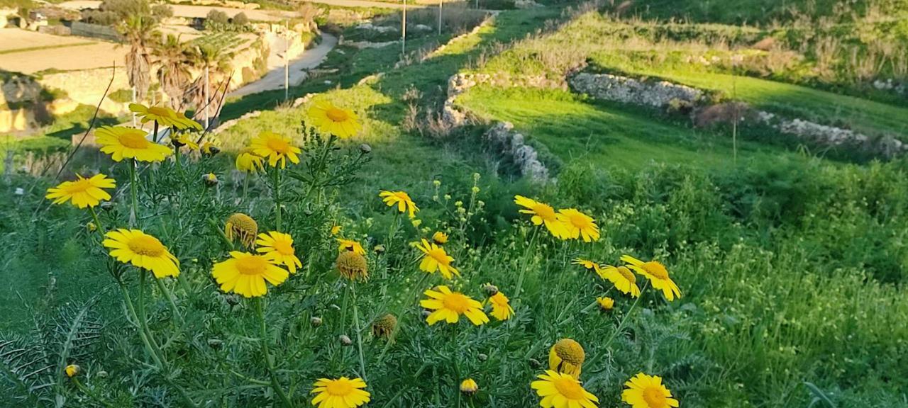 Grotto'S Paradise B&B Għarb Exteriör bild